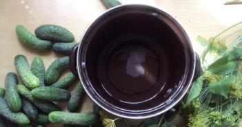 Рецепты быстрого приготовления малосольных хрустящих огурцов в кастрюле холодным и горячим способом с чесноком и специями